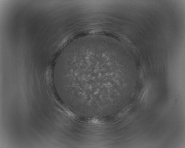 X0000067890565200604131331