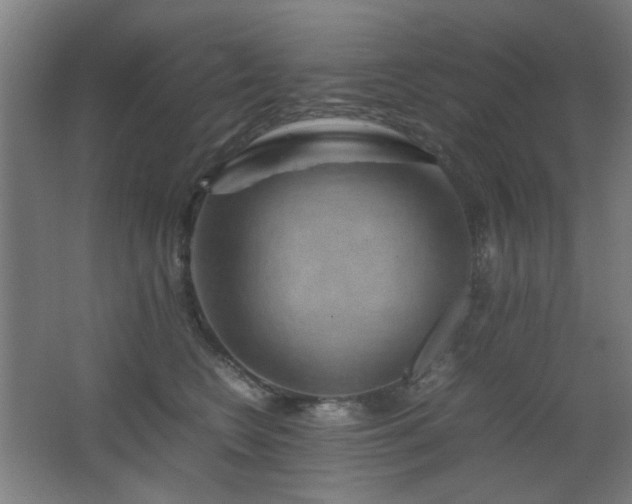 X0000067890566200604131331