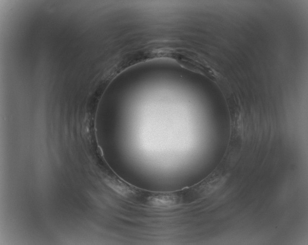 X0000067890567200604131331