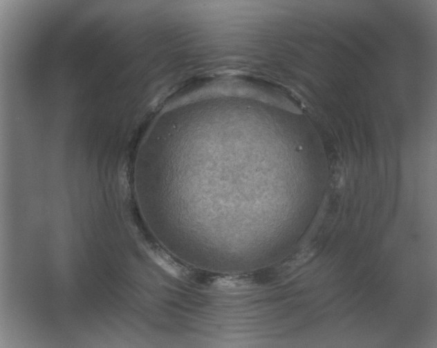 X0000067890568200604131331