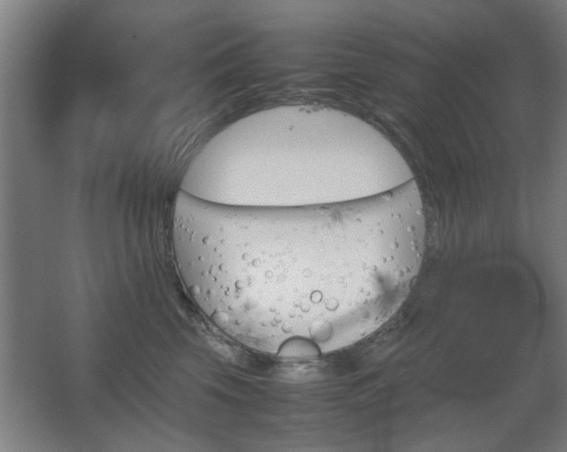 X0000067890569200604131331