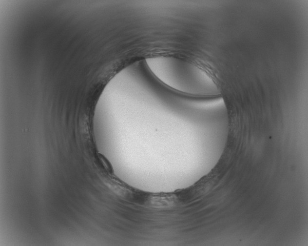 X0000067890571200604131331