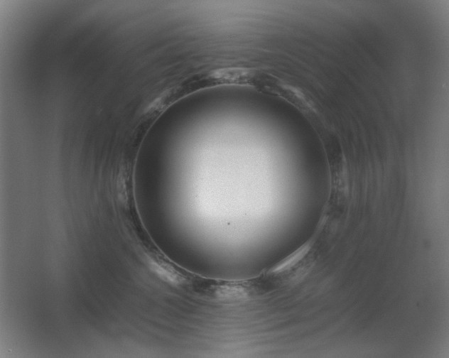 X0000067890572200604131331