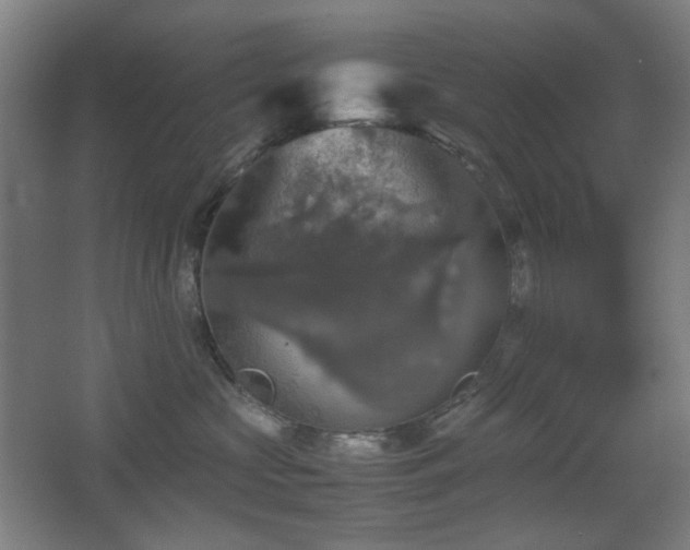 X0000067890573200604131331