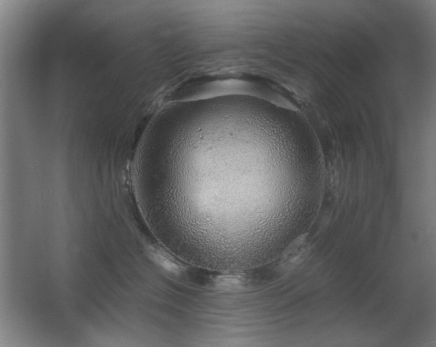 X0000067890574200604131331