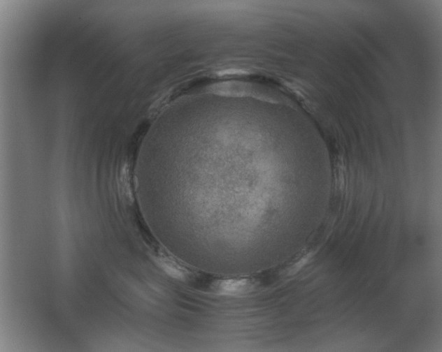 X0000067890575200604131331