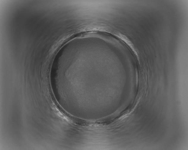 X0000067890577200604131331