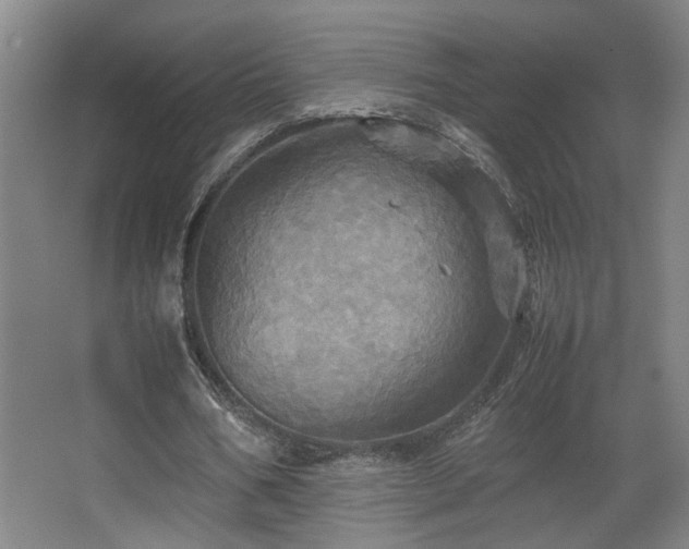 X0000067890578200604131331