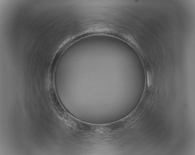 X0000067890579200604131331