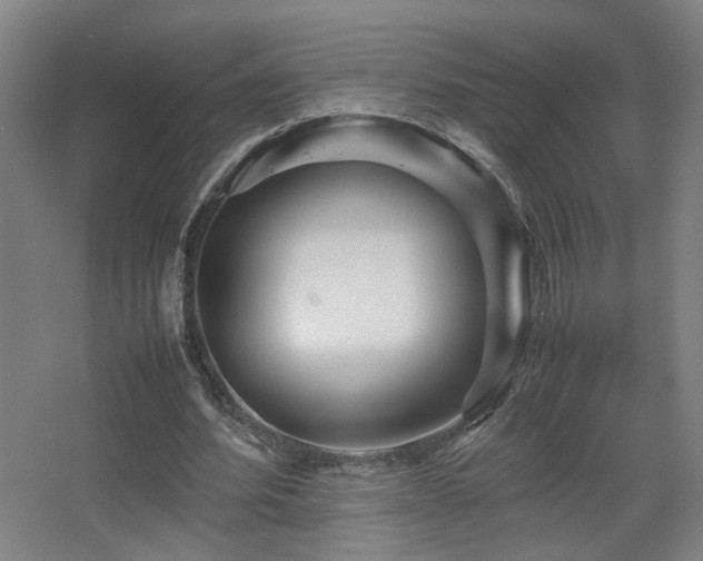 X0000067890580200604131331