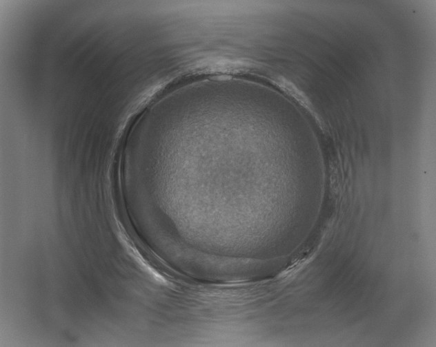 X0000067890581200604131331