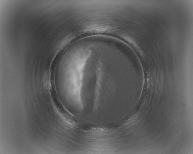 X0000067890582200604131331