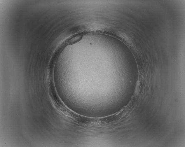 X0000067890583200604131331