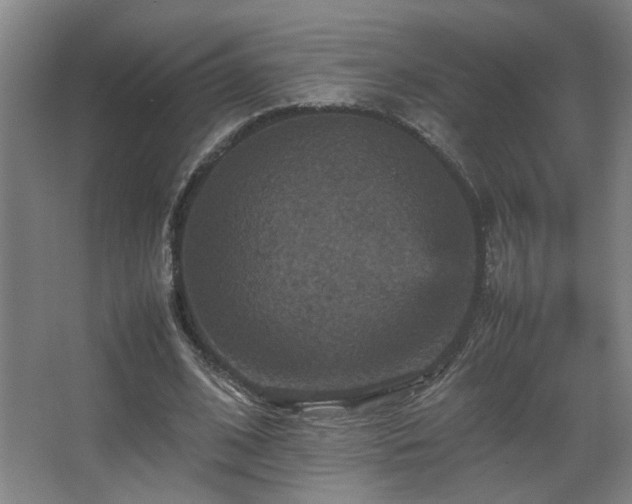 X0000067890584200604131330