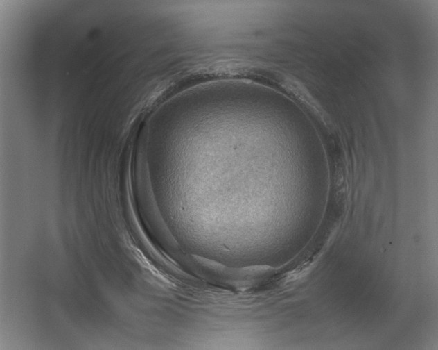 X0000067890585200604131330