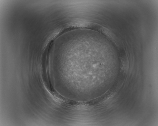 X0000067890586200604131330