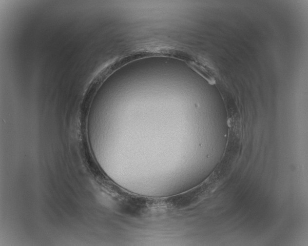 X0000067890587200604131330