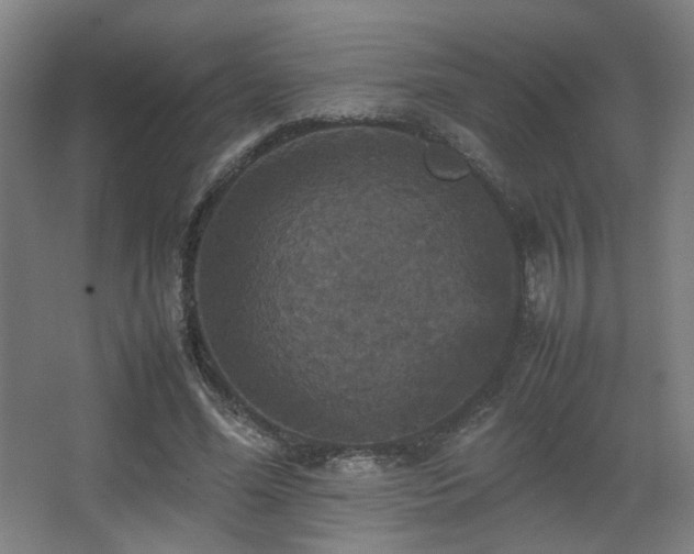 X0000067890588200604131330