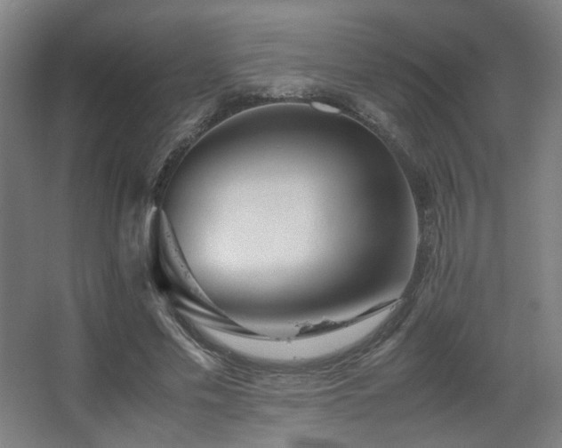 X0000067890589200604131330