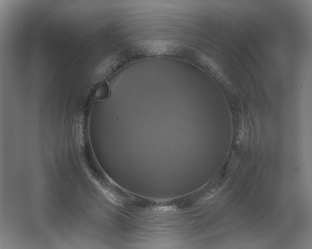 X0000067890590200604131330