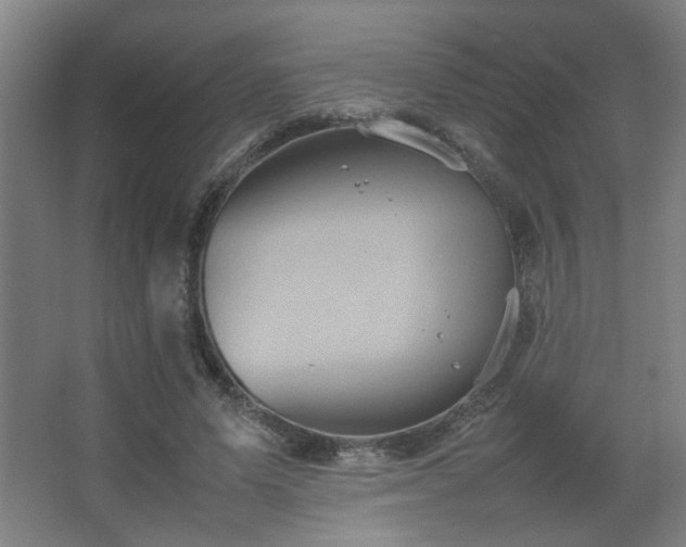 X0000067890591200604131330