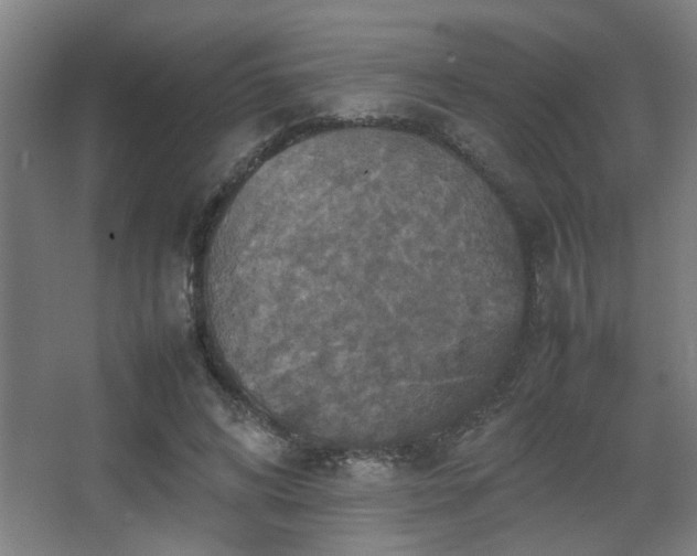 X0000067890592200604131330