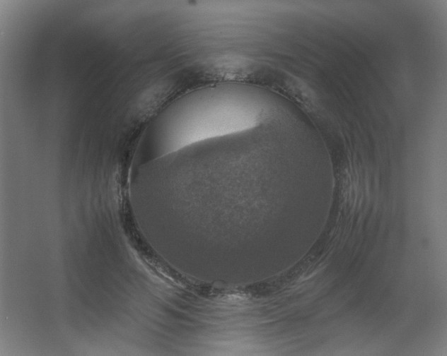 X0000067890594200604131330