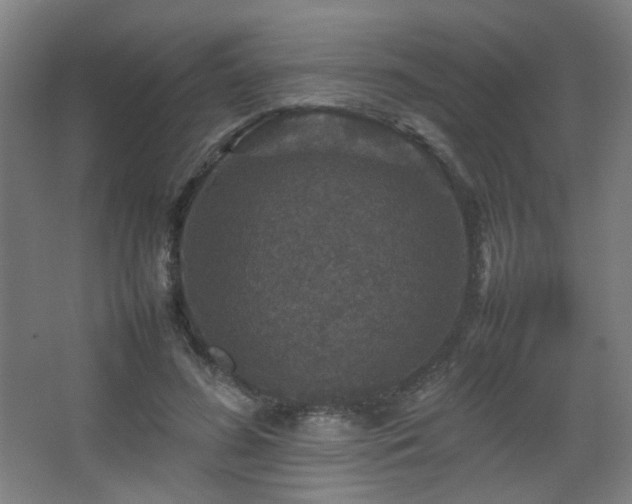 X0000067890596200604131330