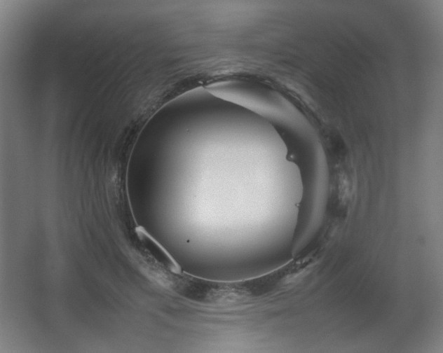 X0000067890597200604131330