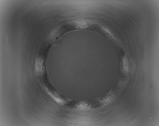 X0000067890598200604131330