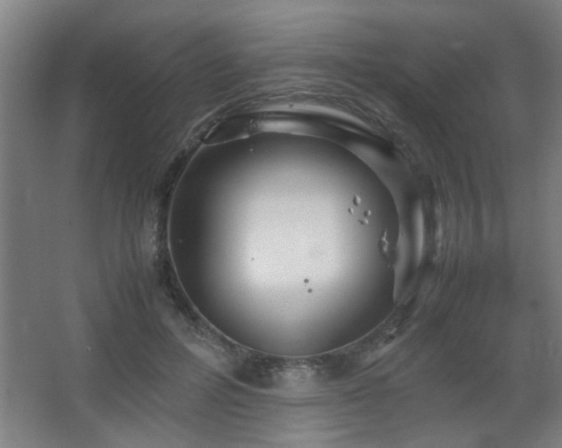 X0000067890600200604131330