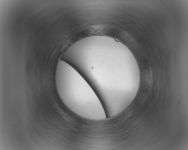 X0000067890602200604131330