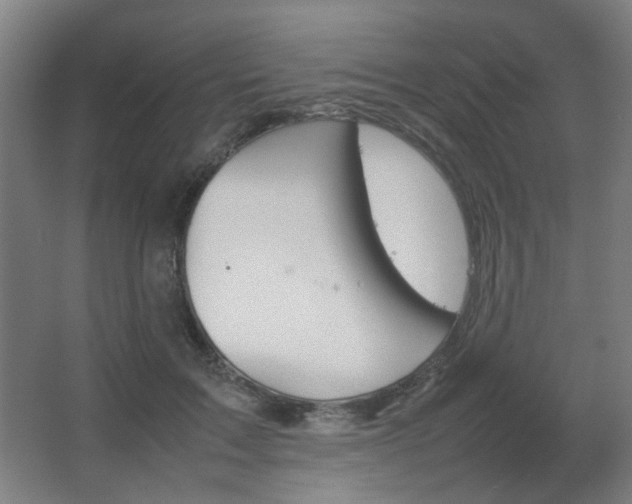 X0000067890603200604131330