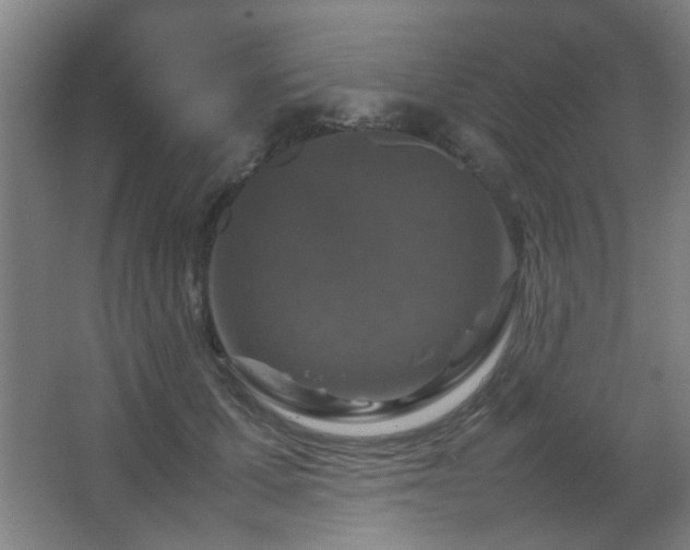 X0000067890607200604131330