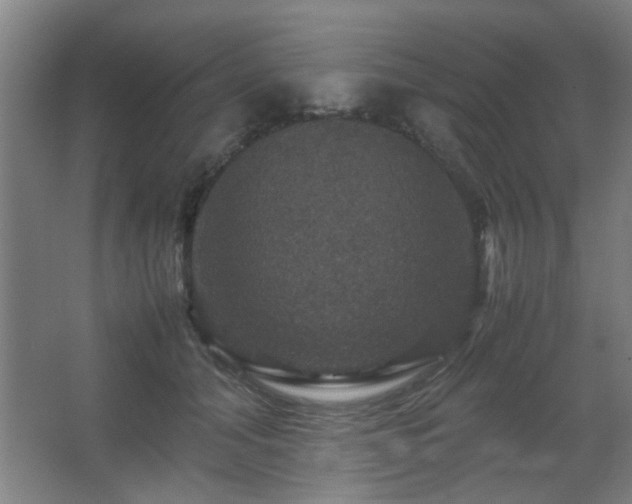 X0000067890608200604131330