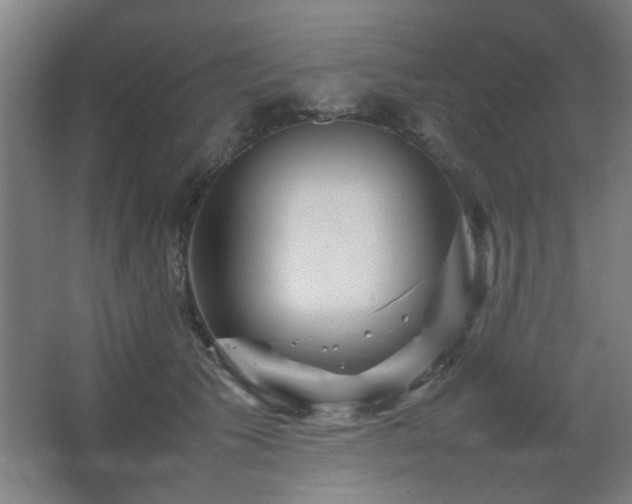 X0000067890609200604131330