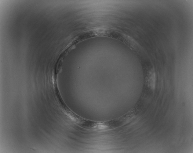 X0000067890610200604131330