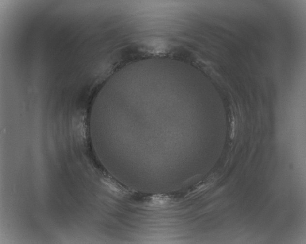 X0000067890612200604131330