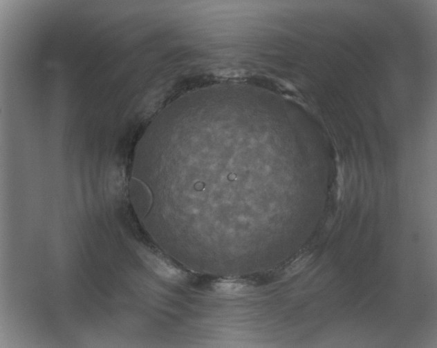 X0000067890614200604131330