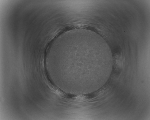 X0000067890615200604131330