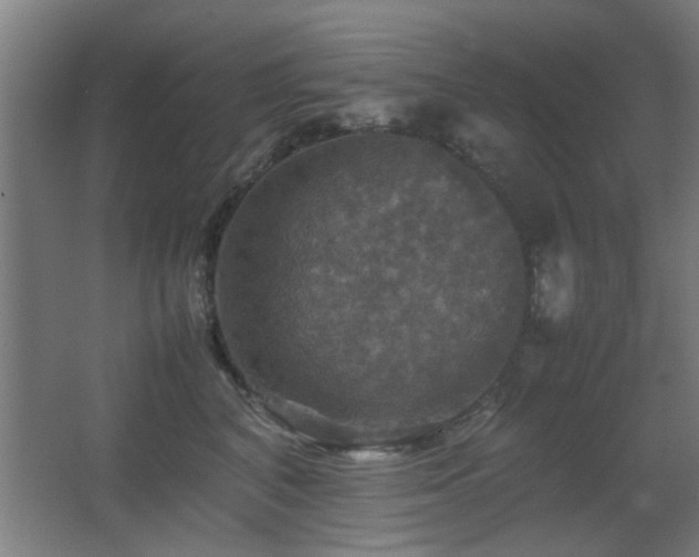 X0000067890616200604131330