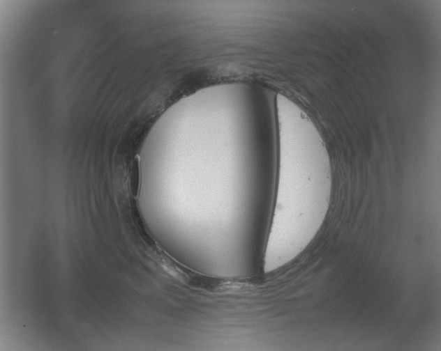 X0000067890617200604131330