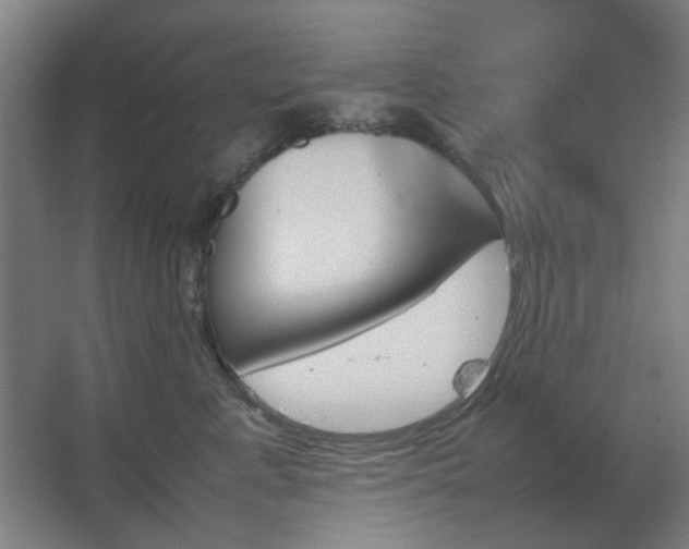 X0000067890619200604131330