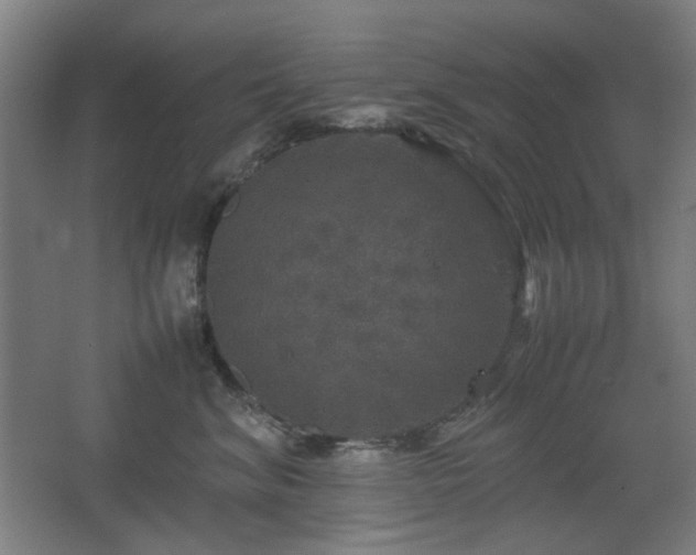 X0000067890620200604131330