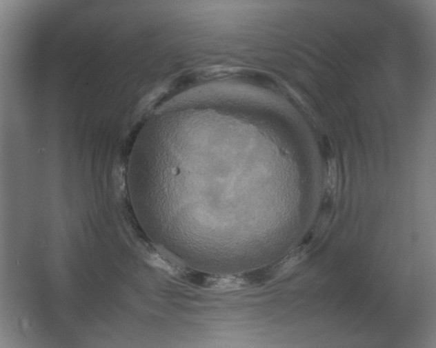 X0000067890621200604131330