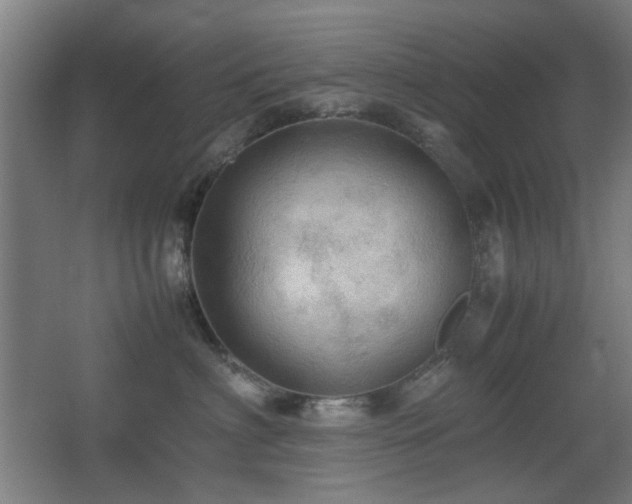 X0000067890622200604131330