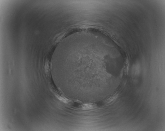 X0000067890623200604131330