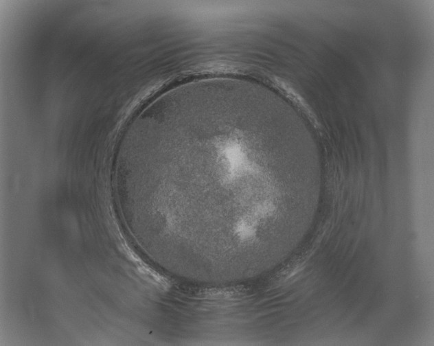 X0000067890625200604131329