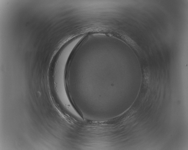 X0000067890626200604131329