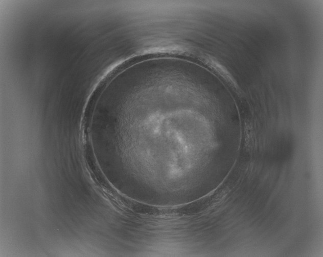 X0000067890628200604131329